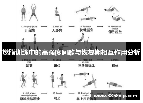 燃脂训练中的高强度间歇与恢复期相互作用分析