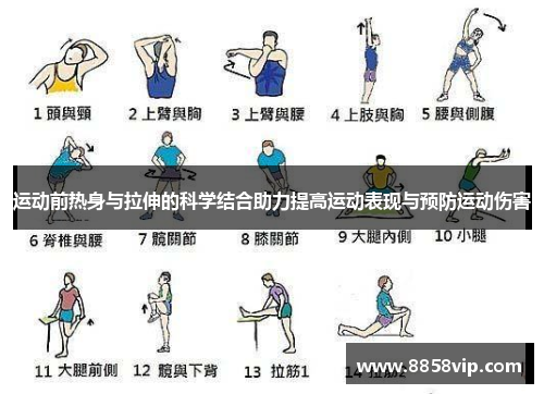 运动前热身与拉伸的科学结合助力提高运动表现与预防运动伤害
