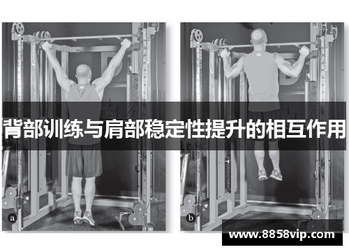 背部训练与肩部稳定性提升的相互作用
